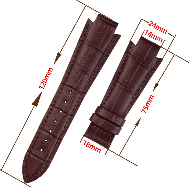 Leather Strap For Watch – 24x14mm Convex End | Wellstraps™ Wellstraps™